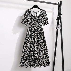 Black Daisy